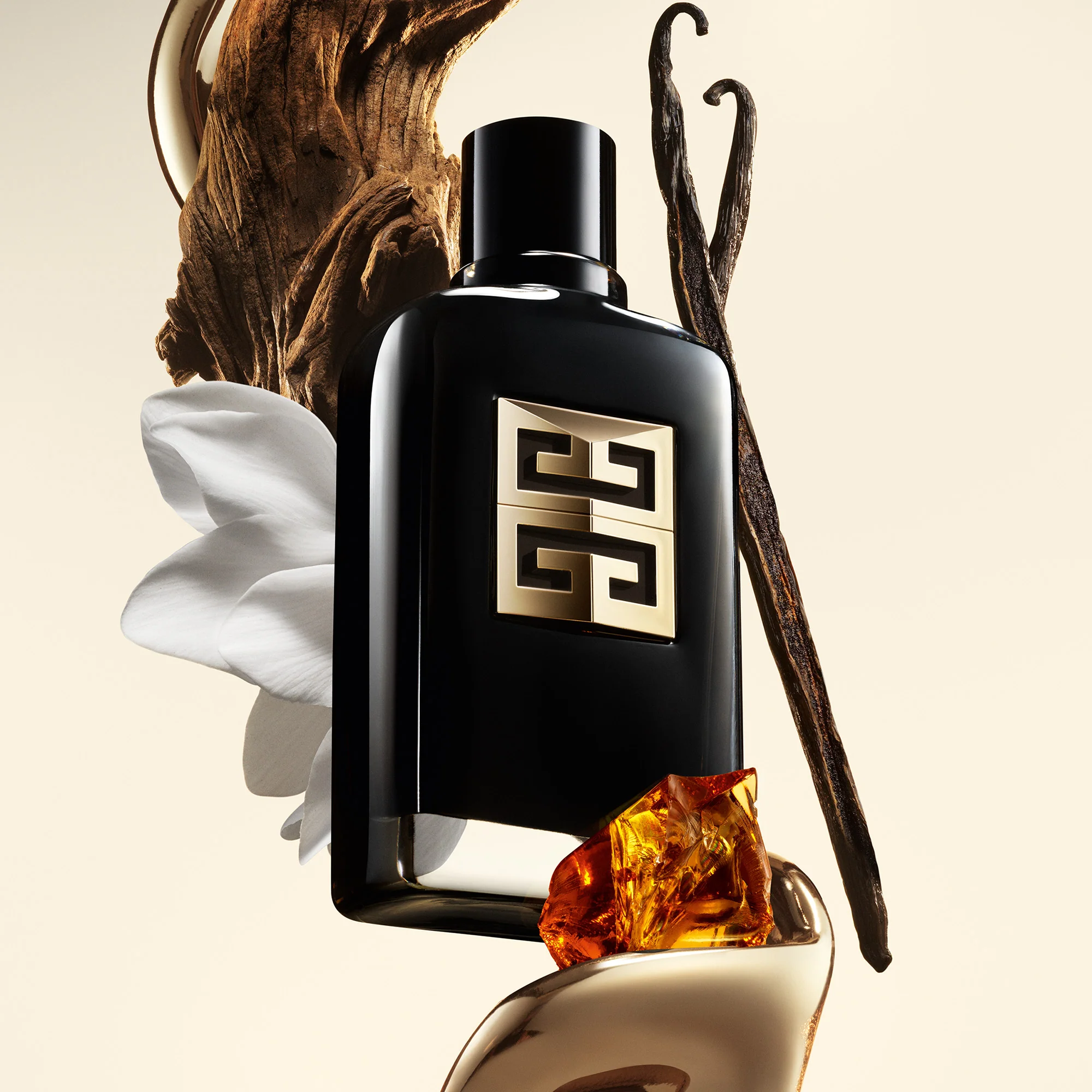 GENTLEMAN SOCIETY - Image 4