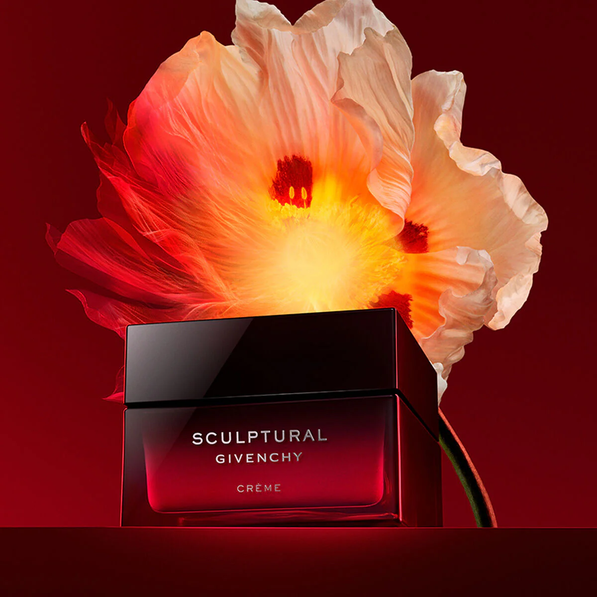SCULPTURAL CREAM REFILL - Image 5